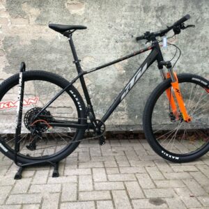 Ultra Fun 29