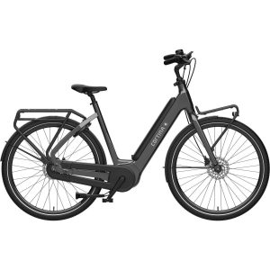 Fiets Common Fam
