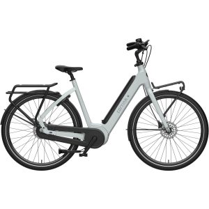 Fiets Common L57