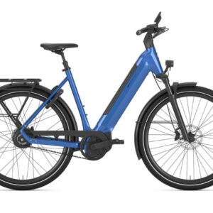 Ultimate test e-bike